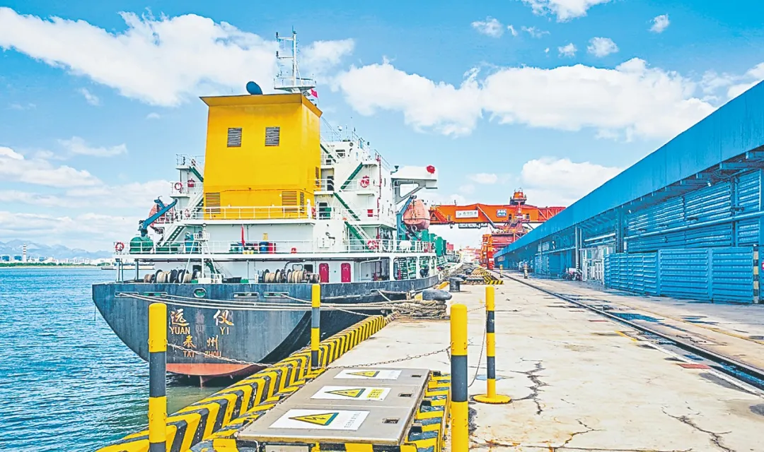 煤码头“长”出荷花池