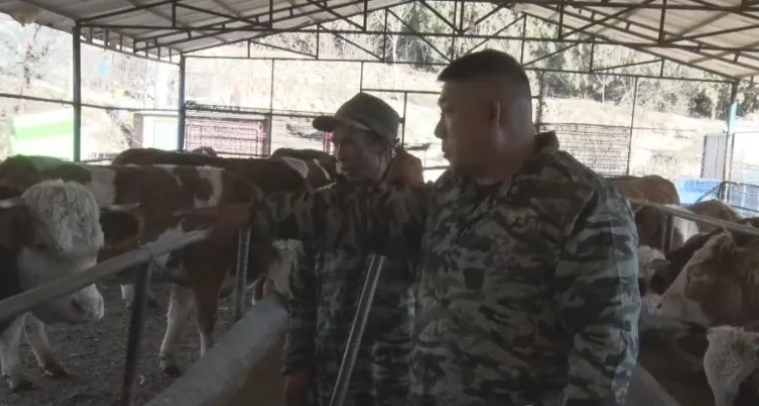 井陉有位“牛魔王”