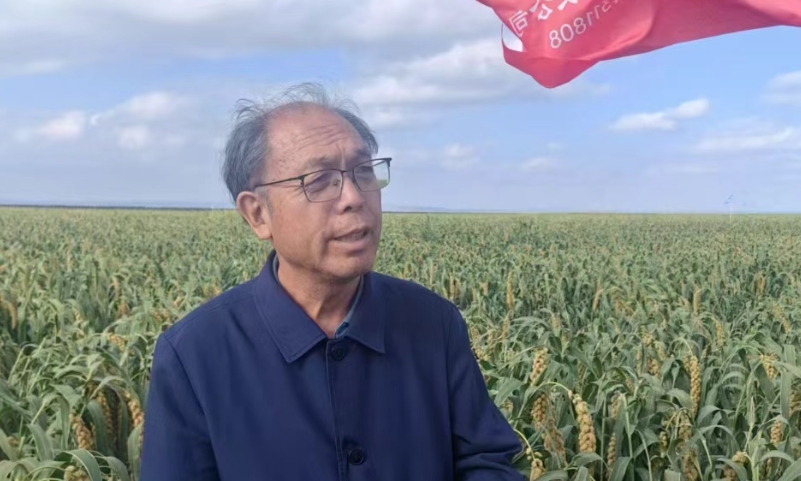 全国人大代表赵治海：推动全谷物与粮饲两用谷发展