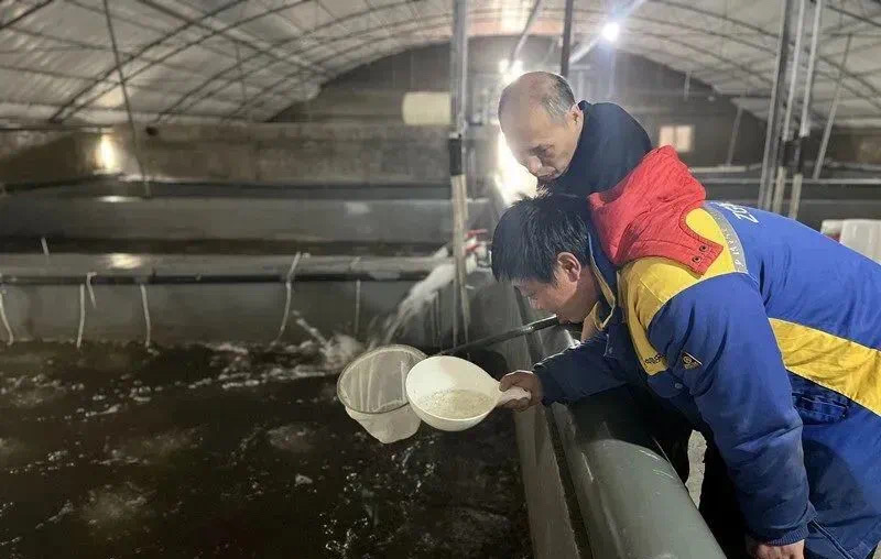 唐山市：工厂化循环水养殖减耗降污绿色转型