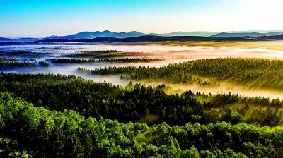 20多年，种出又一个塞罕坝