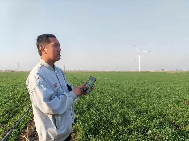 沧县多个地区实现“看数据种地” 两万余亩农田春管只需一人