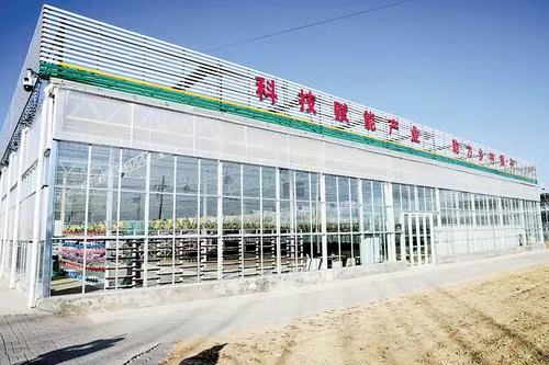 聚焦新河金耳：小菌菇住进“黄金屋” 科技+保险让农户致富有保障