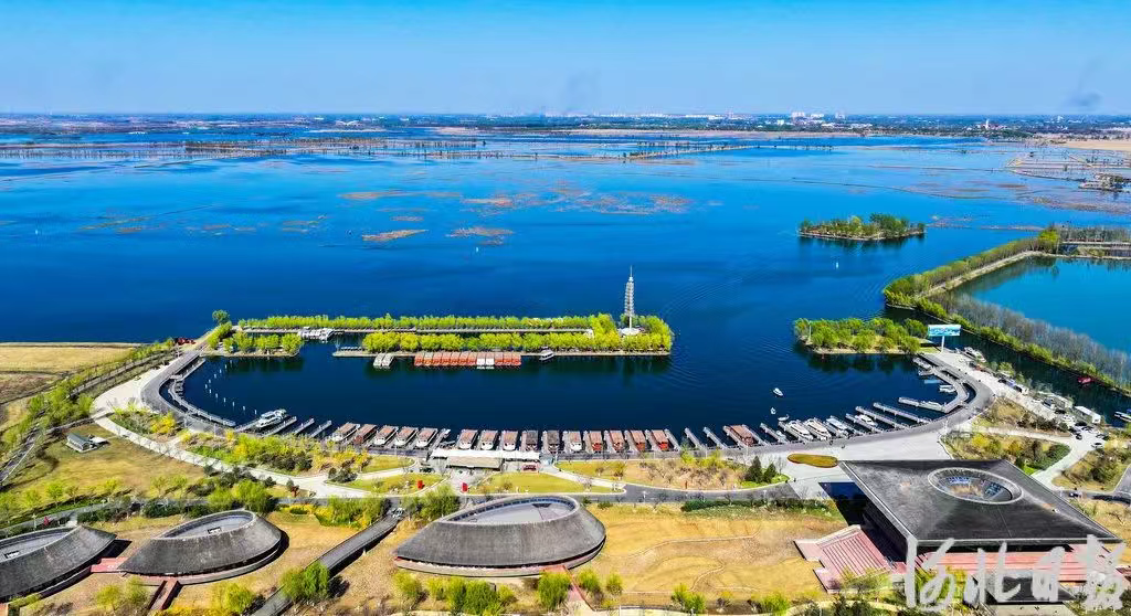 “一盘棋”守护好生态