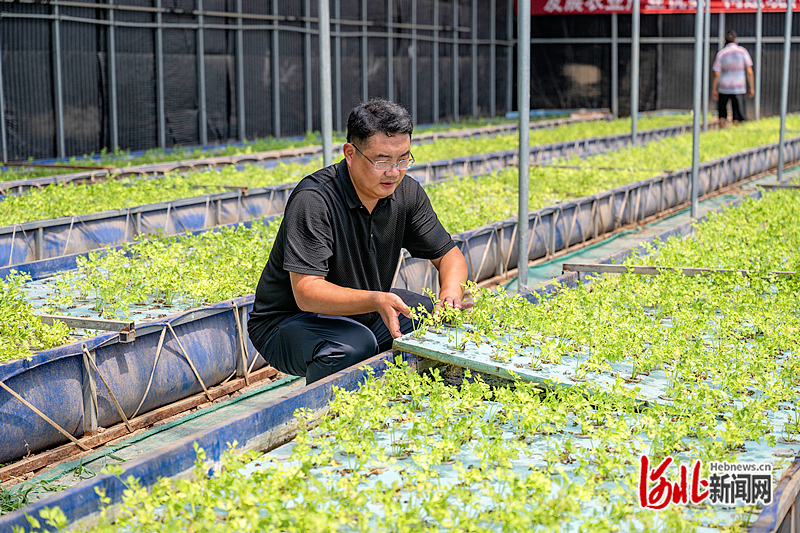 感恩奋进 双争有我·乐亭县阚田各庄村党支部书记、村委会主任李瑶：当干部，就得心里时刻想着群众