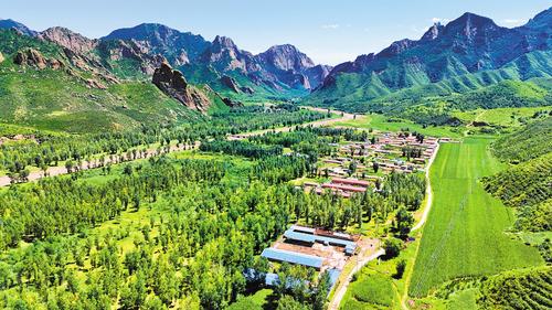 今日小坝子 披绿又生金