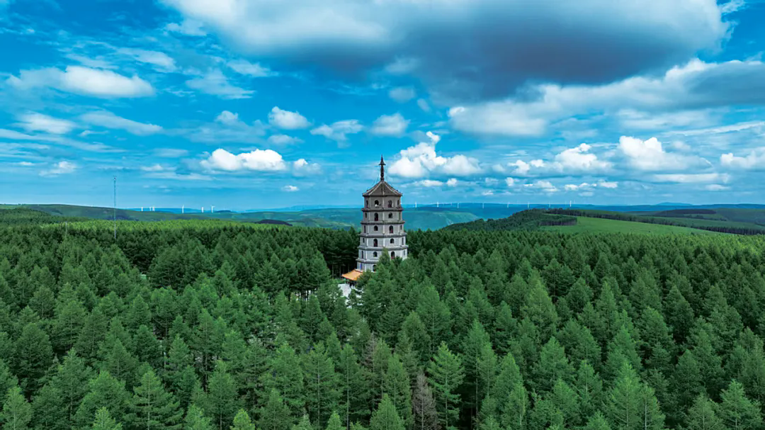 塞罕坝机械林场：筑梦林海 智启新程