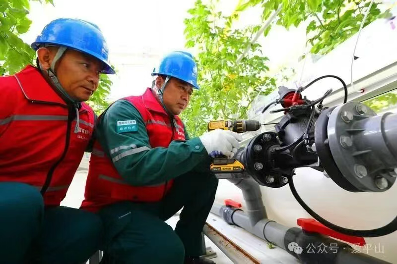河北：电力赋能阴雨天蔬菜稳产