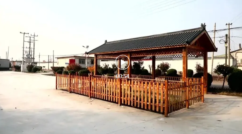 河北滦南：“议”出乡村振兴新图景