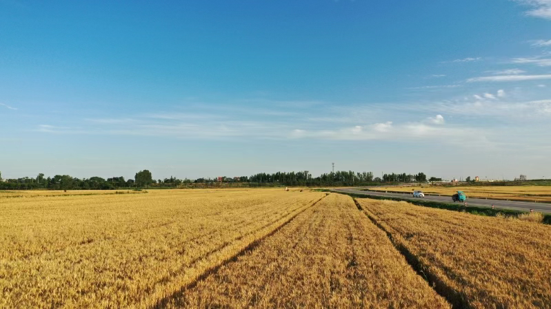 产业筑基防返贫 绘就乡村全面振兴新图景