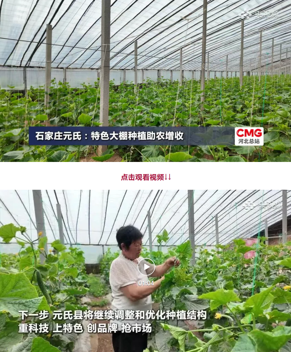 石家庄元氏：特色大棚种植助农增收